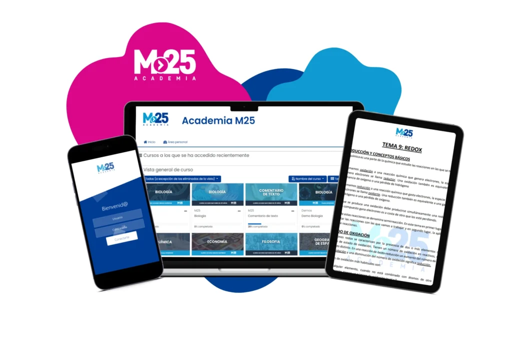 Campus Virtual Academia M25