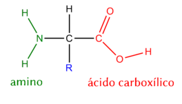 aminoácidos