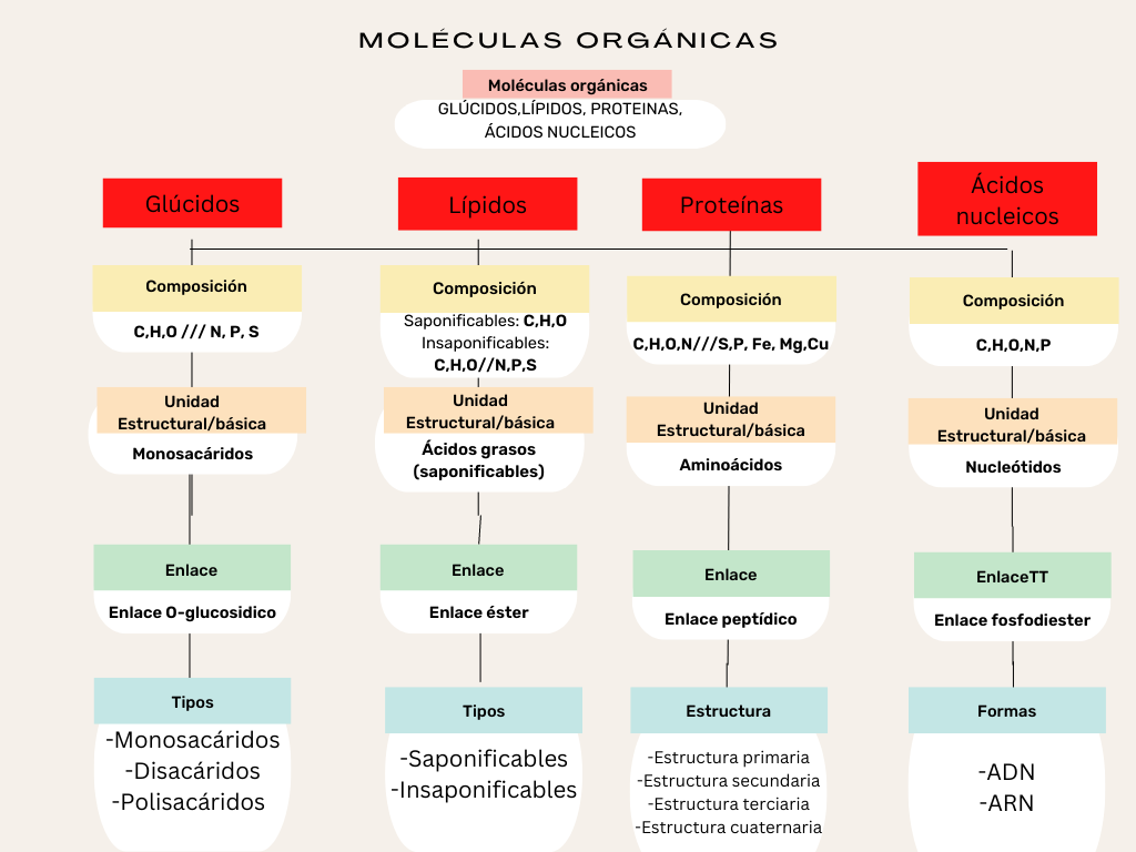 Resumen Bioquímica